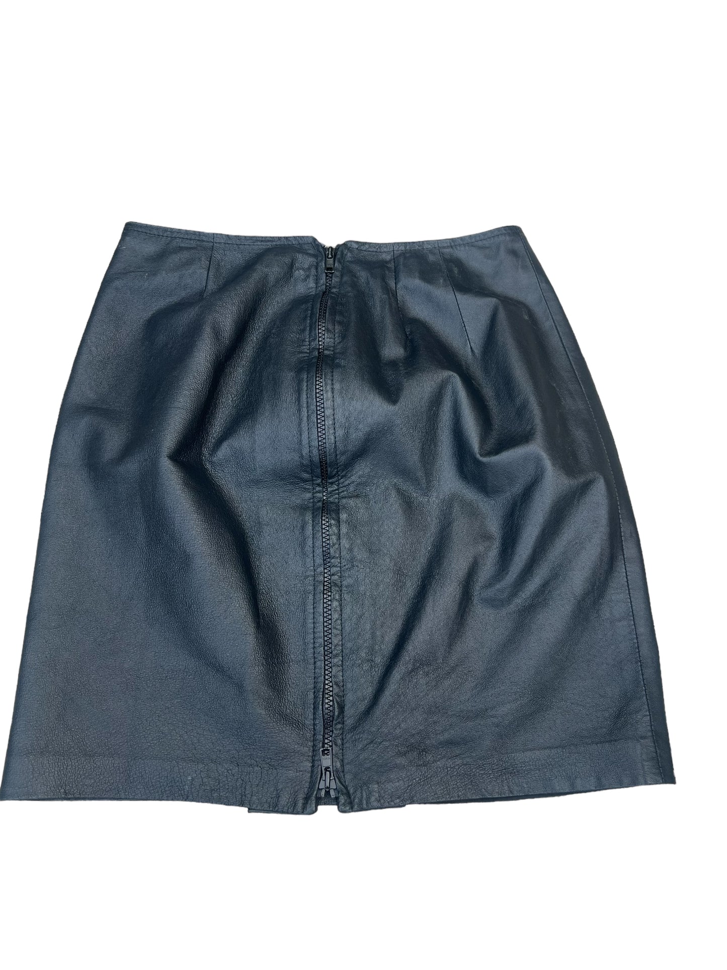 Danier Leather Skirt