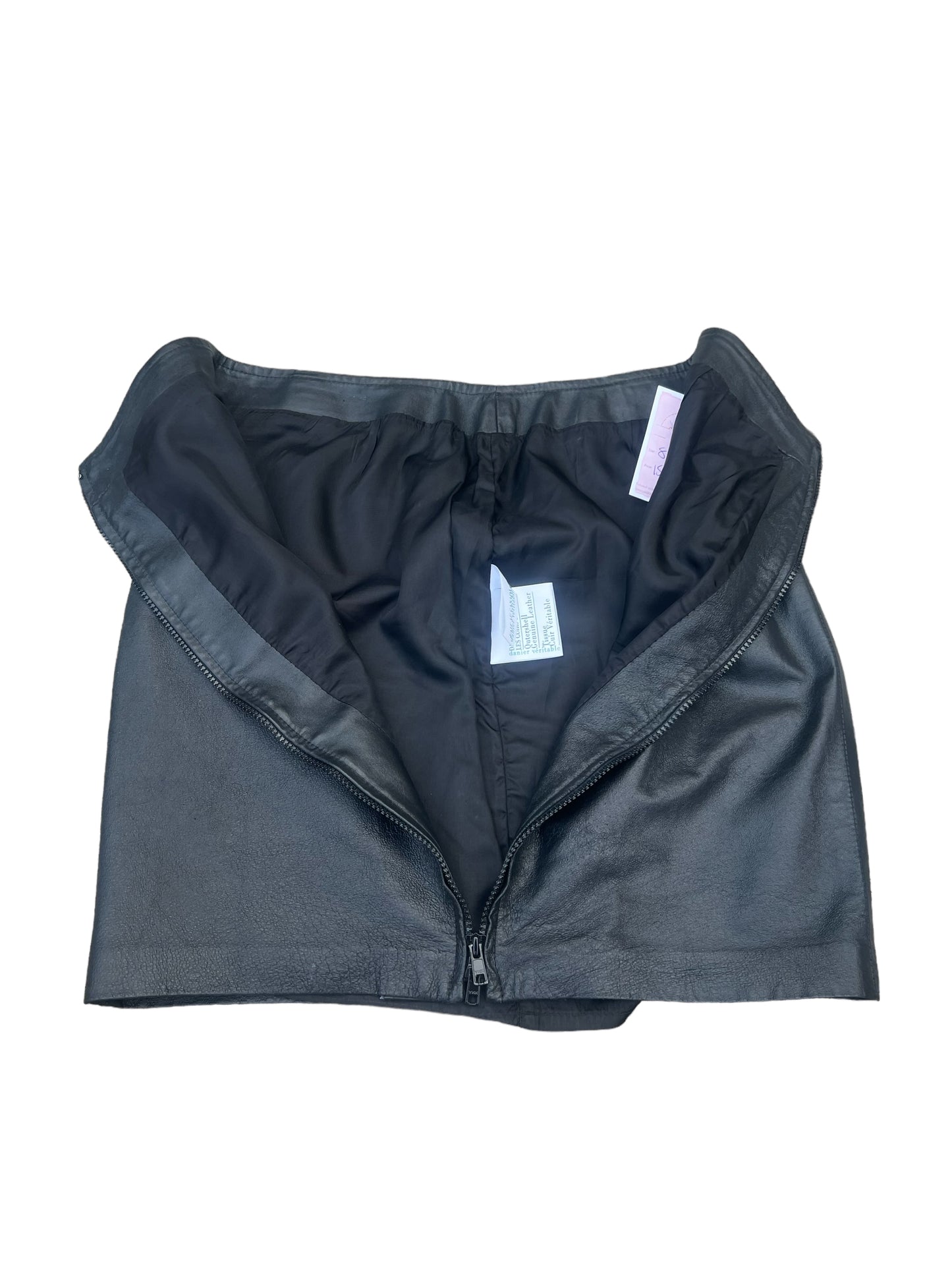Danier Leather Skirt